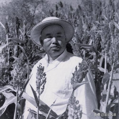 许世友被关，妻子未探望、反写决裂信，解禁后