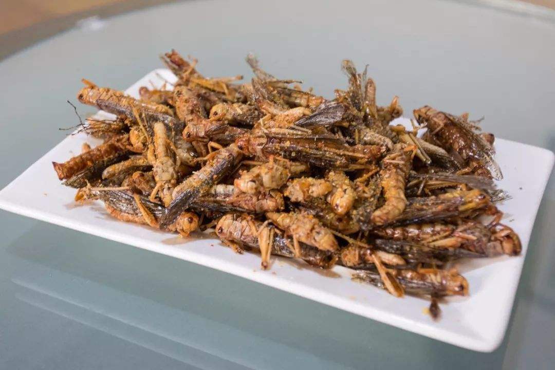 中國古代經(jīng)常發(fā)生蝗災，農民為什么不吃蝗蟲？沒你想的那么簡單