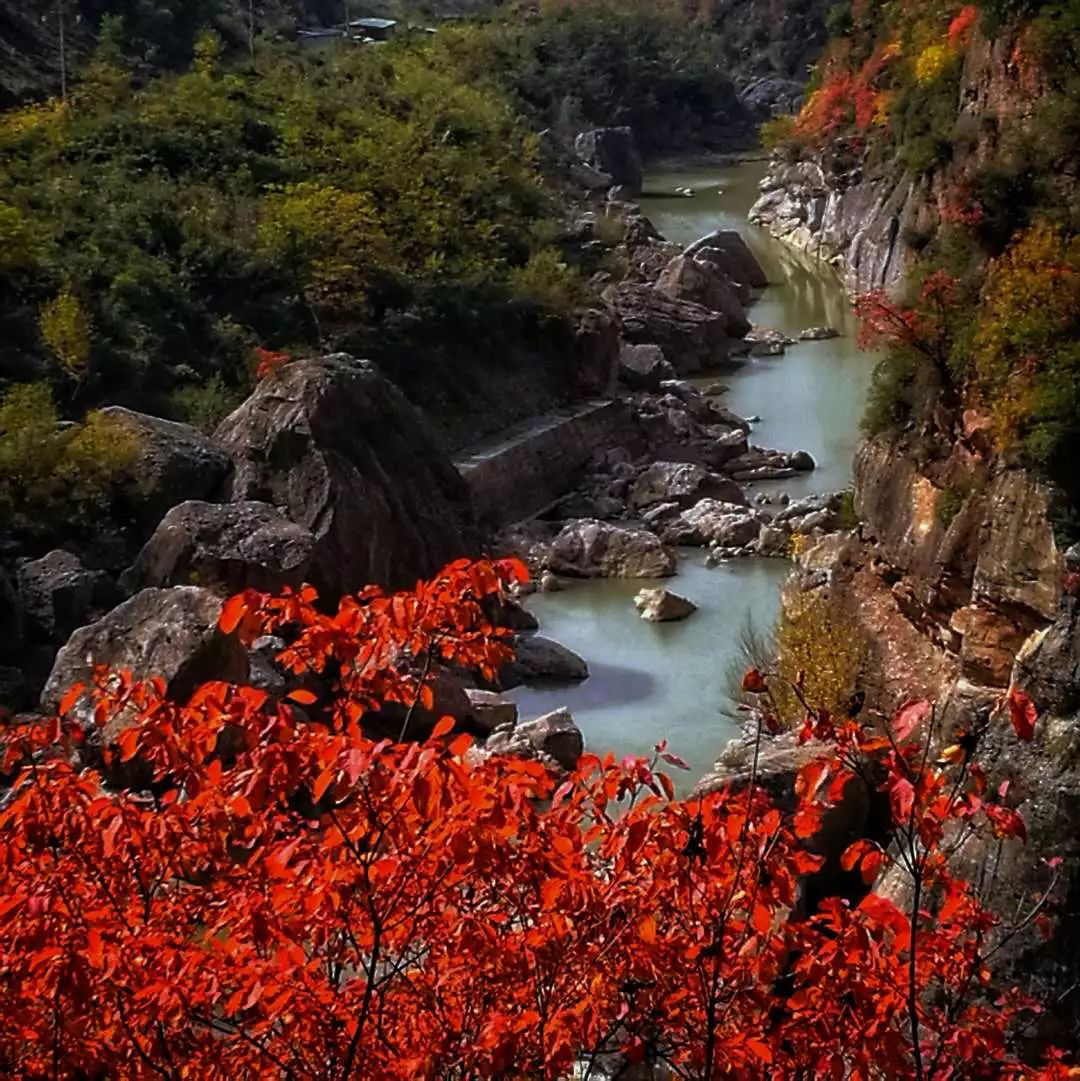 宝鸡周边赏秋景点图片