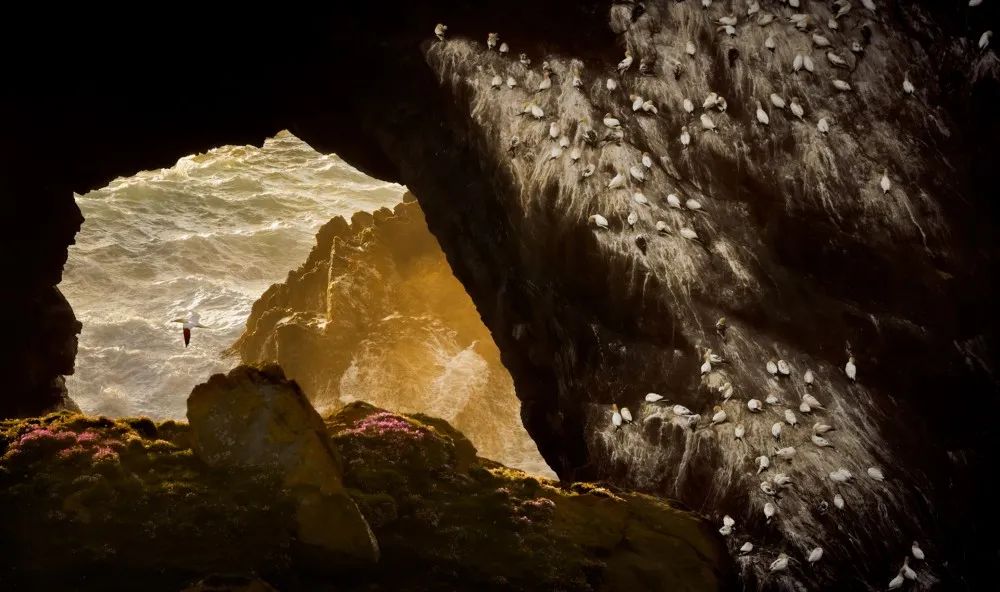 分不清是現實還是虛幻：45張攝影作品，捕捉大自然的神秘