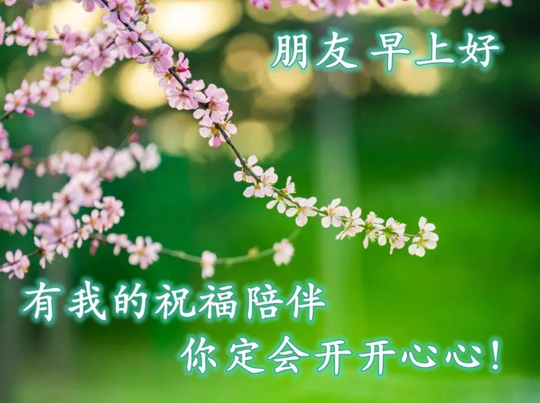 2021年最火的早上好句子，一天一句心情早安语