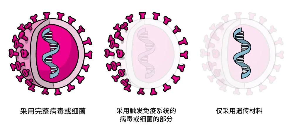什么是最好的新冠疫苗