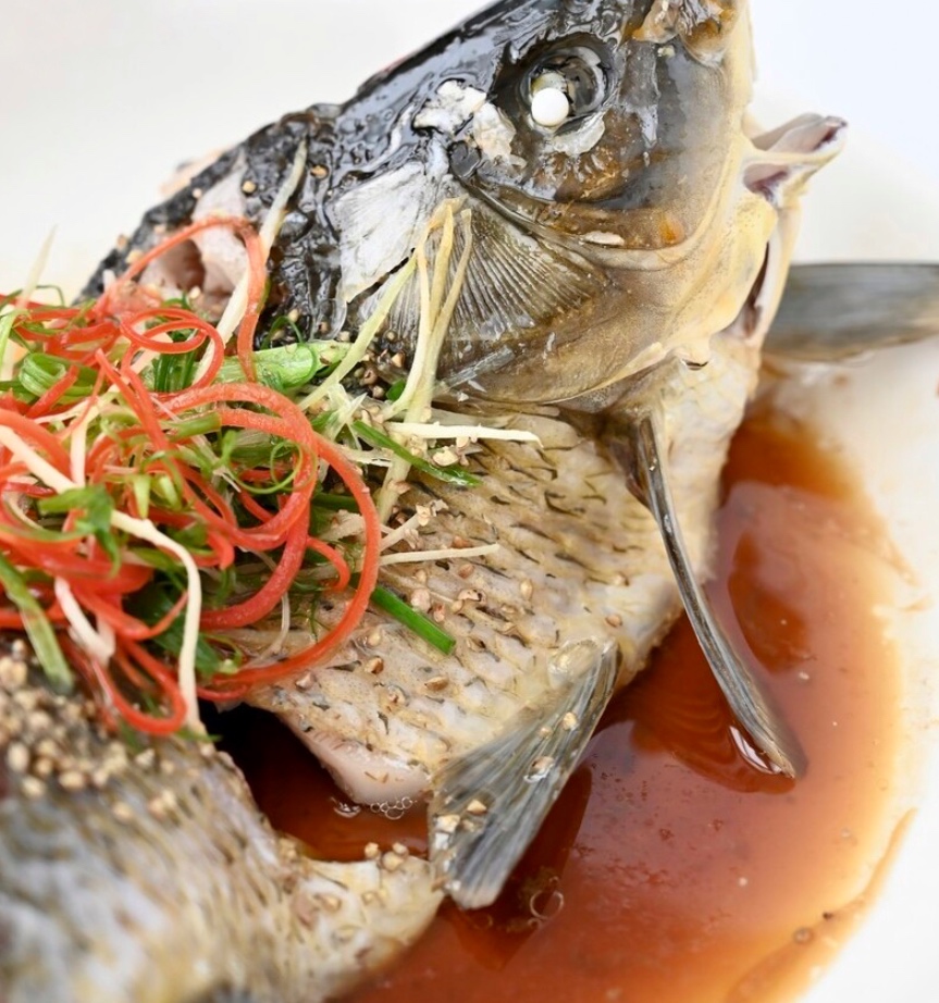 Follow Chef Wang Gang to make steamed fish without going to a restaurant. The taste is fragrant and tender, and the method is simple