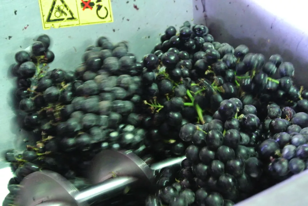 史上最全酿酒全过程详解，建议收藏（多图）