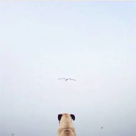 生命来来往往，来日并不方长