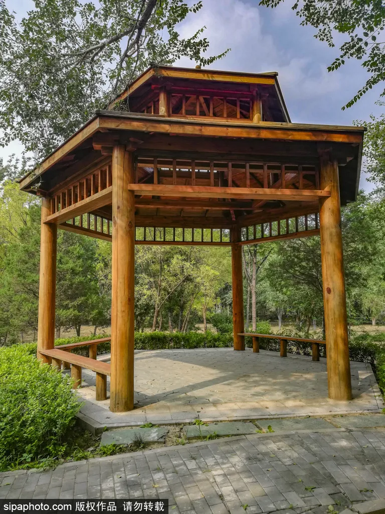 免門票!森林公園裡藏著個“小內蒙古”,還免費停車~