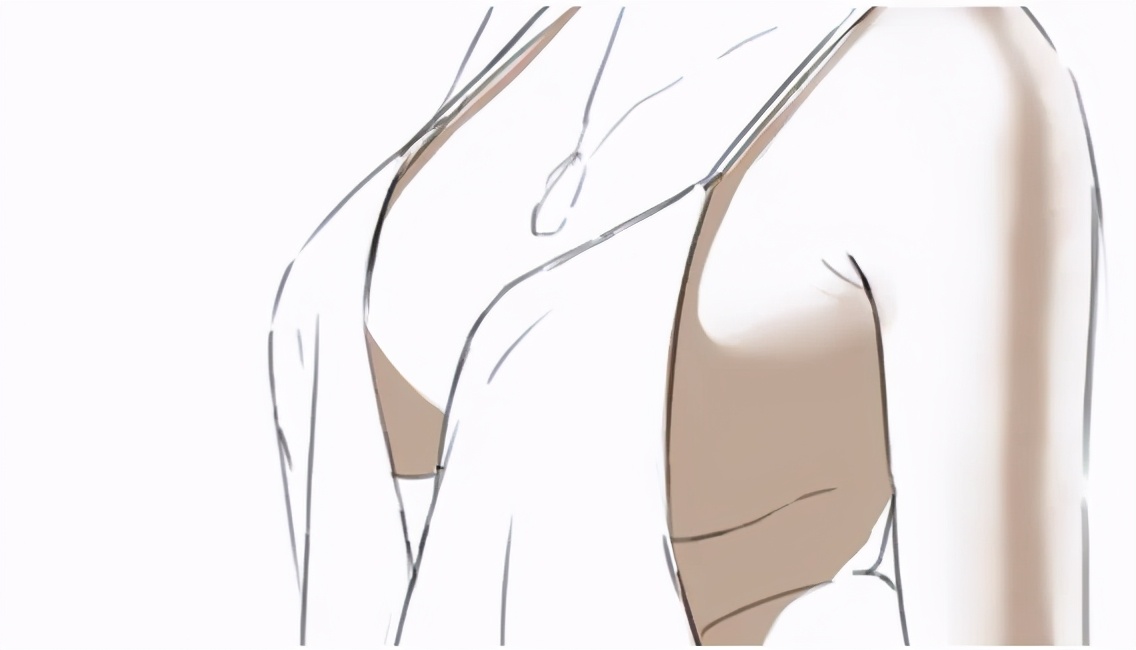 脸红心跳的胸部画法教程十分正经胸部画法绘画绅士必备技能