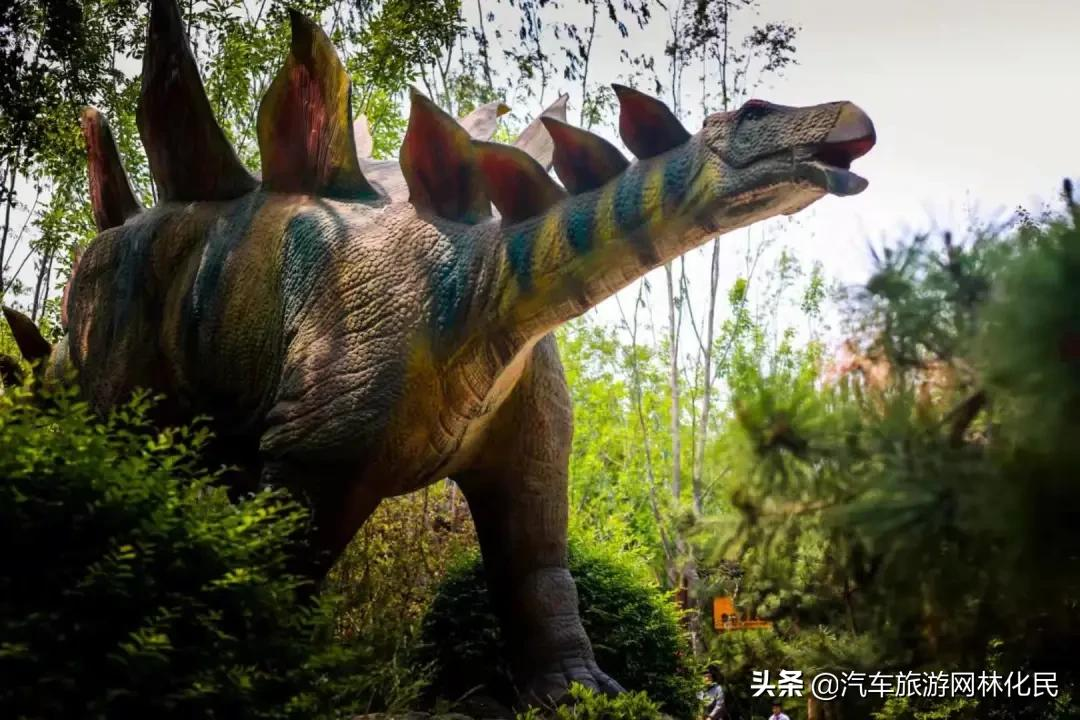 6.1大放价！！！“你好，恐龙先生”儿童节神秘来袭