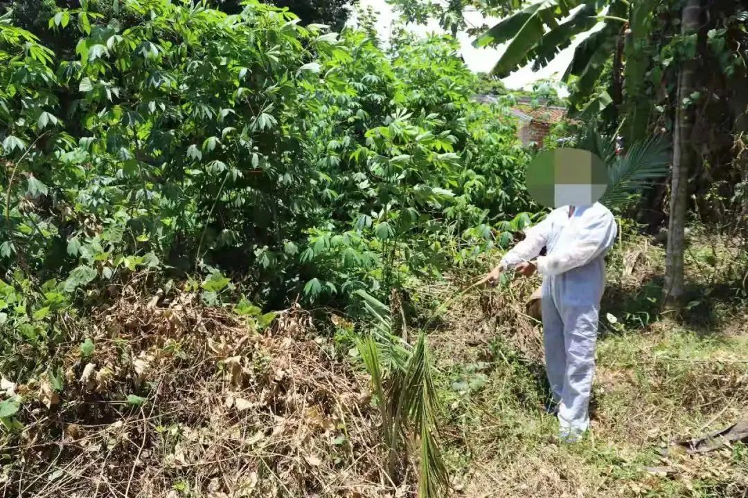 万宁8旬老人睡梦中被杀害，18年后凶手现形，万万没料到是他