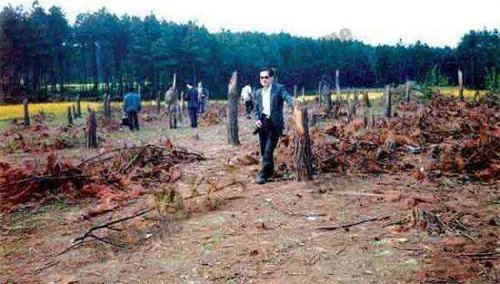 1994年的“空中怪车”事件，一声巨响之后400亩树林被截断-第3张图片-IT新视野