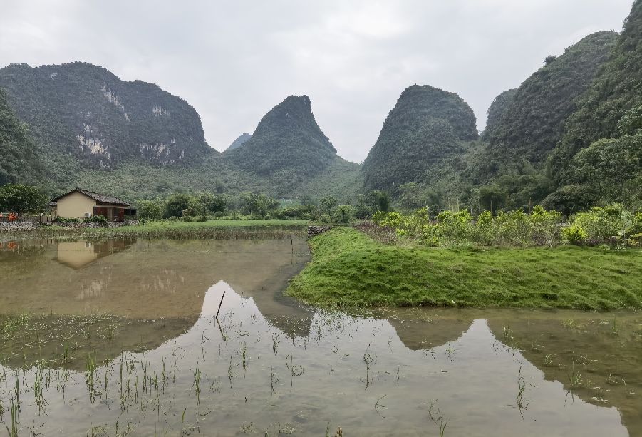 旅游业为何沦为灰色产业？