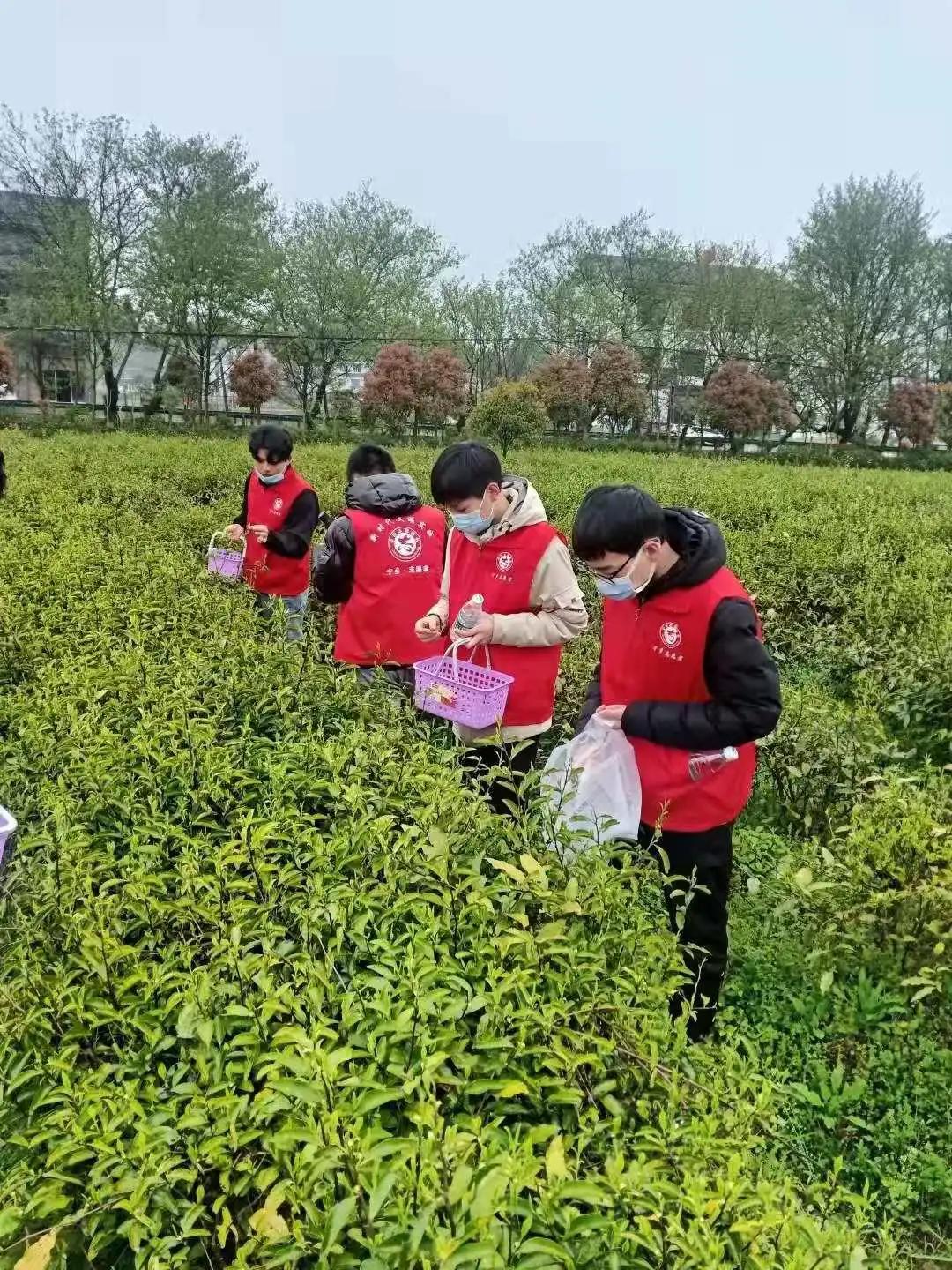 喜讯丨学校“青年之家”获评长沙市级“青年之家”综合服务平台