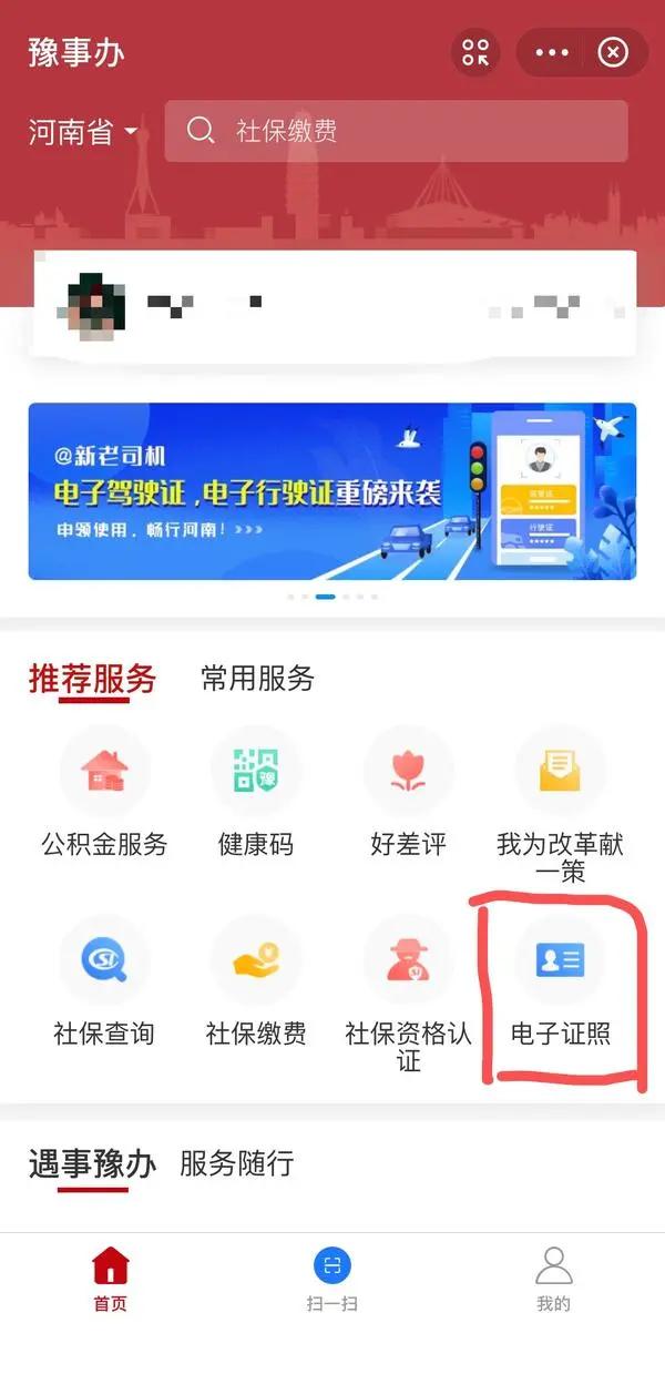大河报汽车网