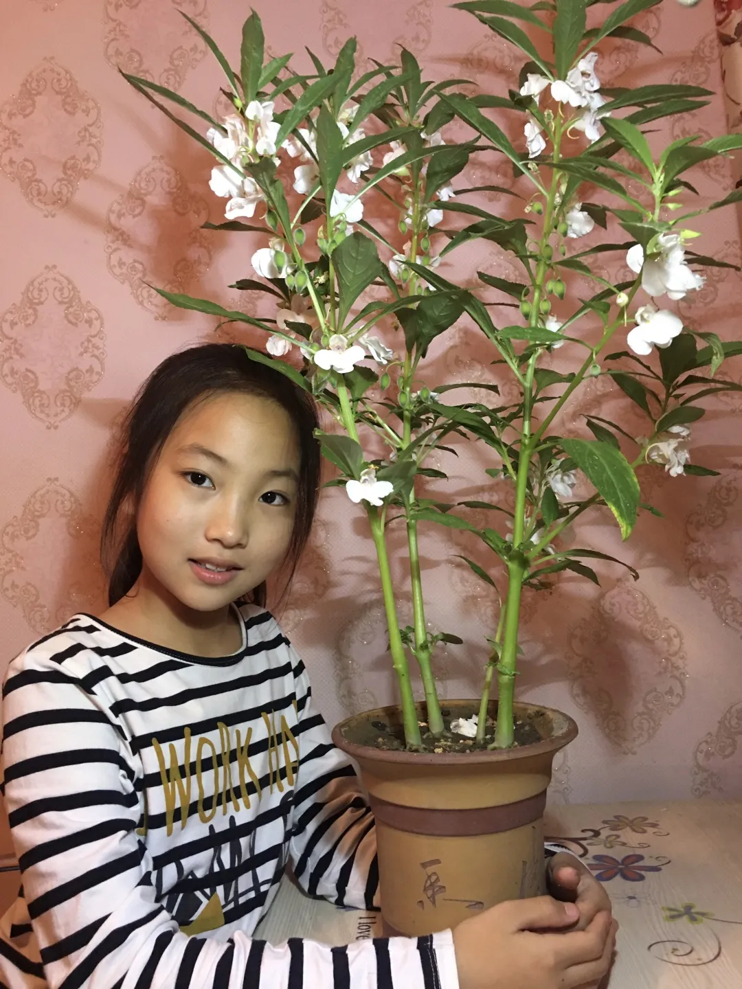 成都高新区中和小学开展“种植劳动”主题课程