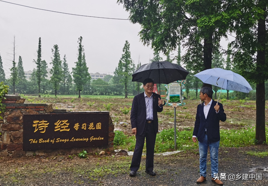 江阴市003号民宿——朝阳山庄：定山竹海里的康美基地
