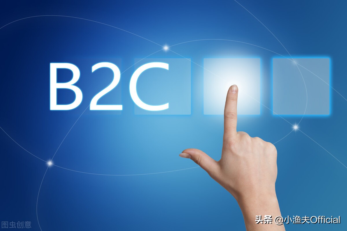 b2c运作模式和流程（电商b2c模式是什么意思）