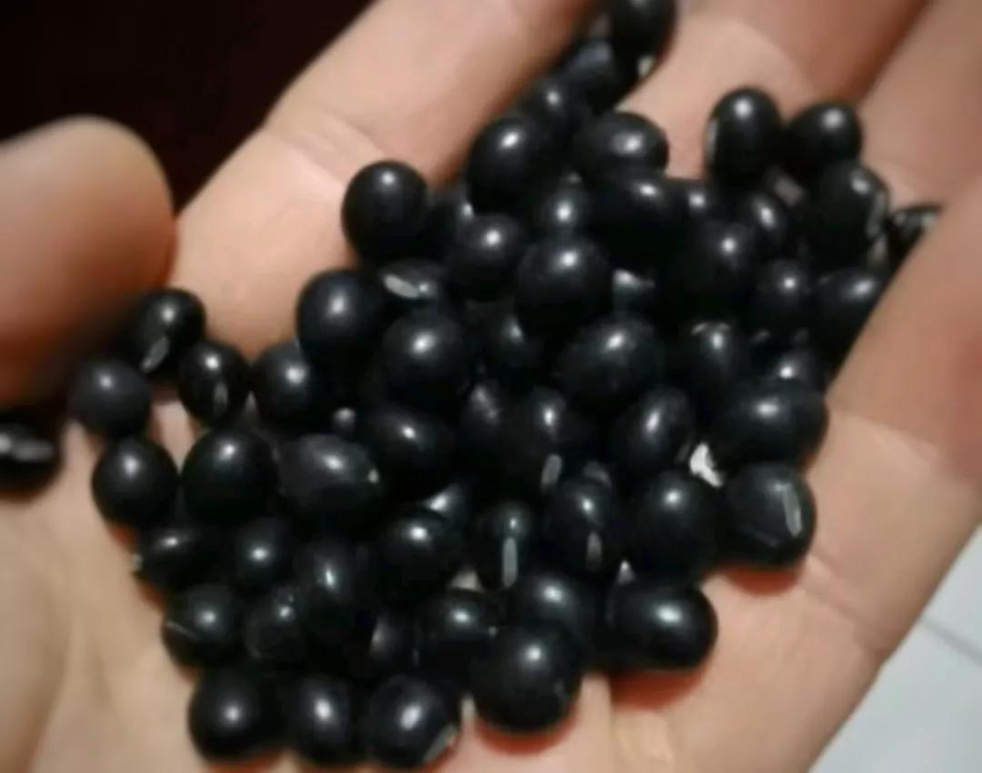 吃黑芝麻黑豆黑米能让白发变黑？变黑是不存在的营养还不错。