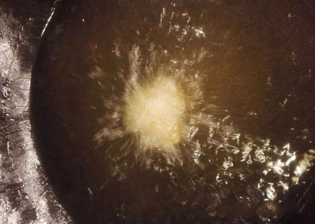 这8道最受老广欢迎的粤菜 粤菜菜谱 第23张 这8道最受老广欢迎的粤菜 粤菜菜谱 第23张