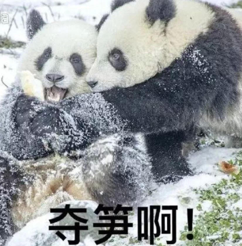 “北大废柴”李雪琴:关于成人世界的十个解答