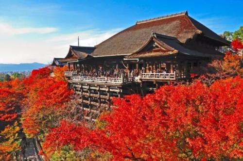 世界著名寺庙之一，日本净土宗知恩院