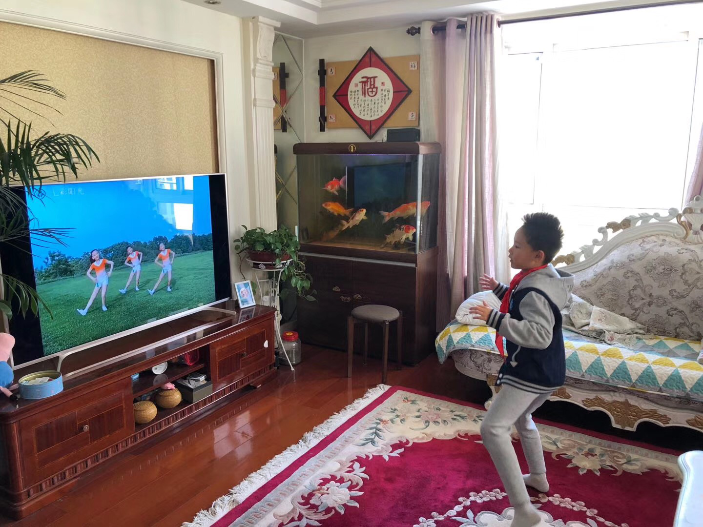 没有对比就没有伤害，法国律师：我们“封城”和中国版本不大一样