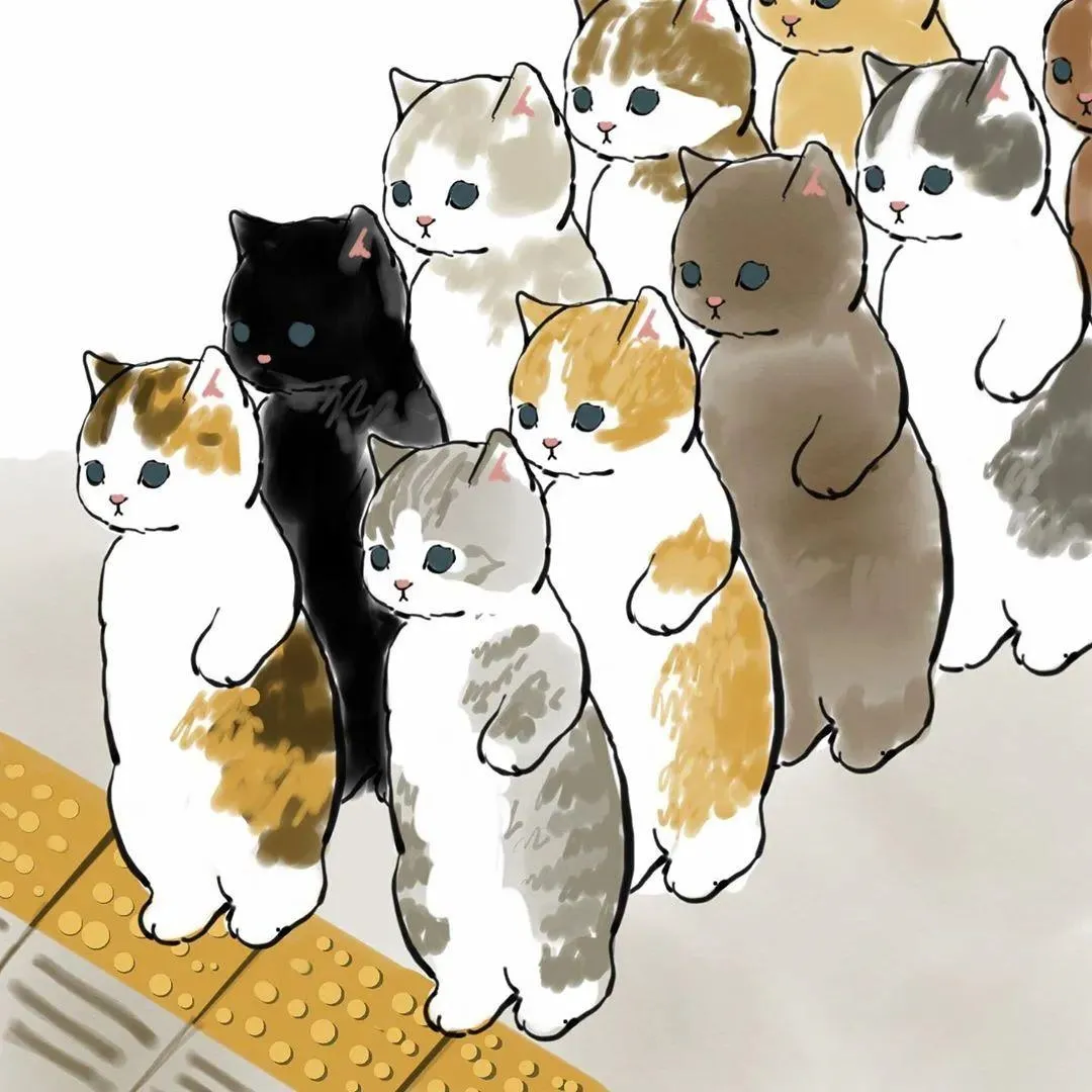 Twitter点赞量超4万的一组“猫片”,是不是像极了你自己?