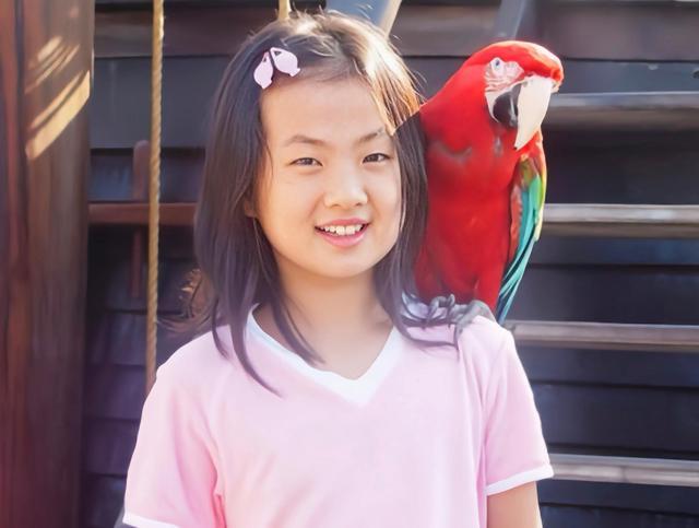 华为二公主姚安娜出道十天，华为注册“姚安娜