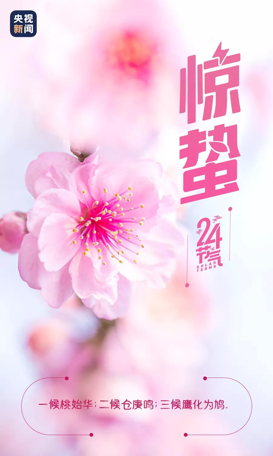 ⷨԷվ