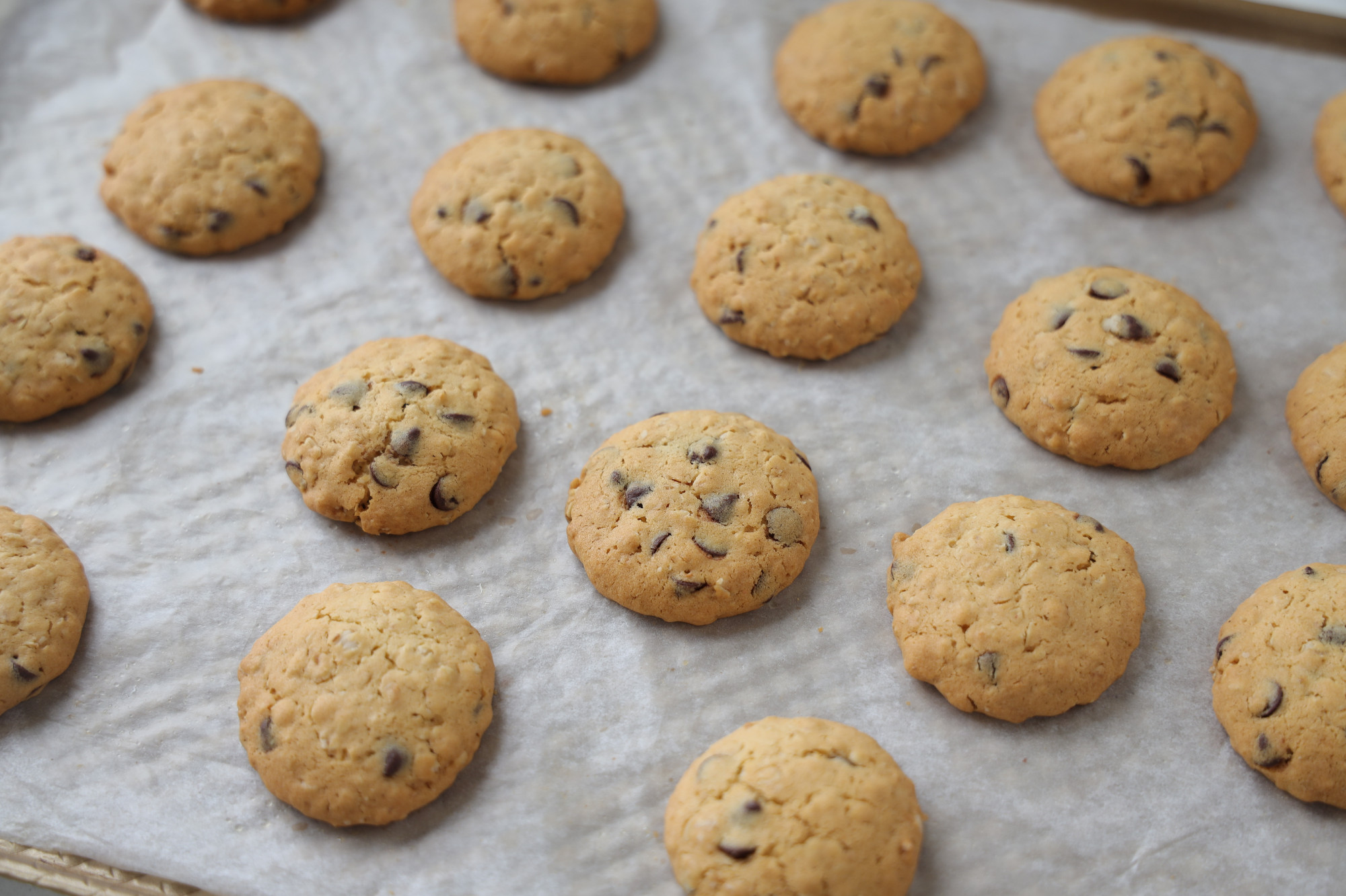 終於找到了配方，吃一次就會愛上的燕麥曲奇，可脆可軟，過年必備
