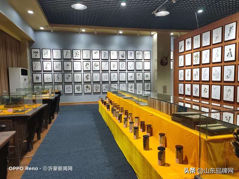 沂蒙民间中医药文化馆开馆暨临沂同德医院周年庆典盛大举行