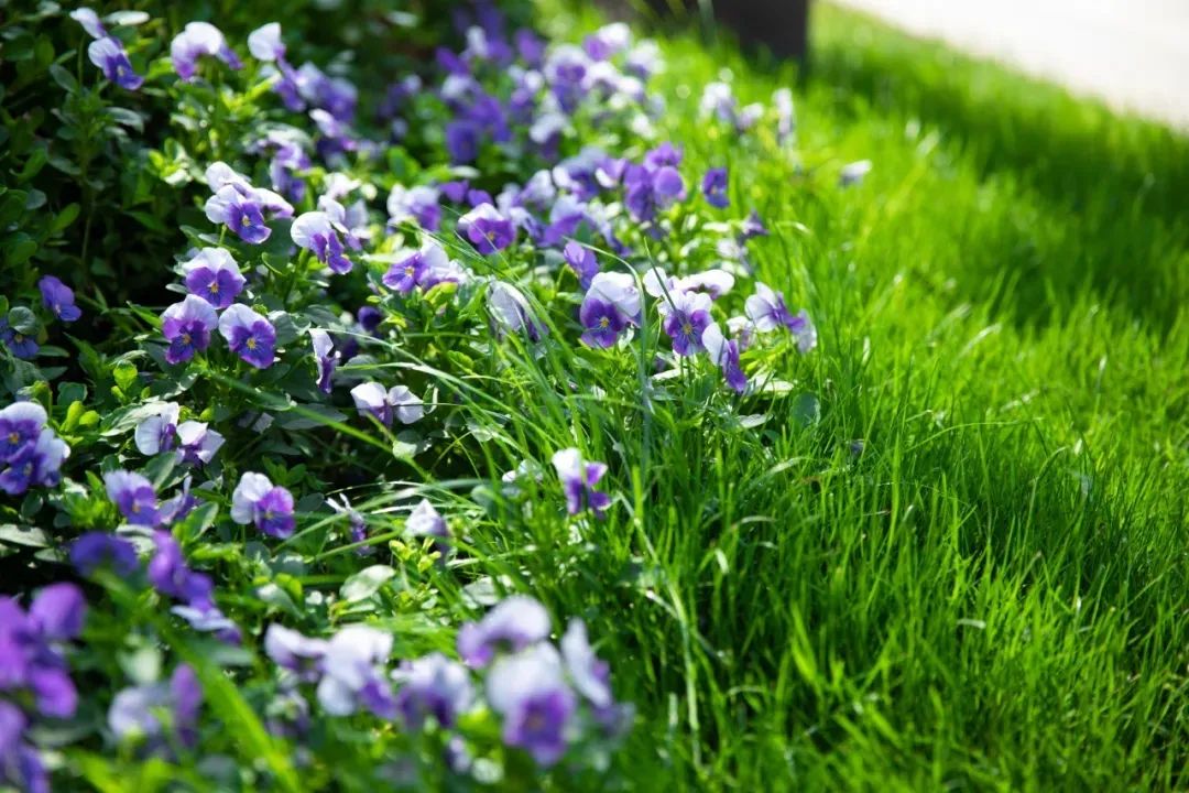 新家剧透丨建业花园里交付在即，大美佳境抢先看