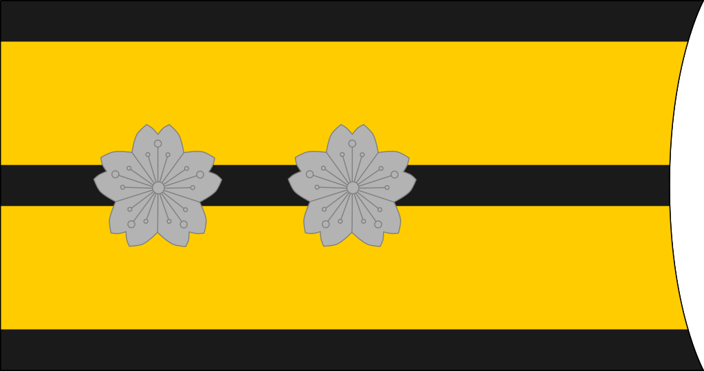 各国军衔标识：日本