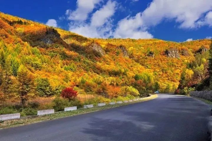 开往“中国最美秋天”6条自驾路线，条条都是NO.1，沿途美成天堂