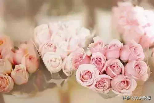 早安问候语简短一句话 早上好祝福短句子
