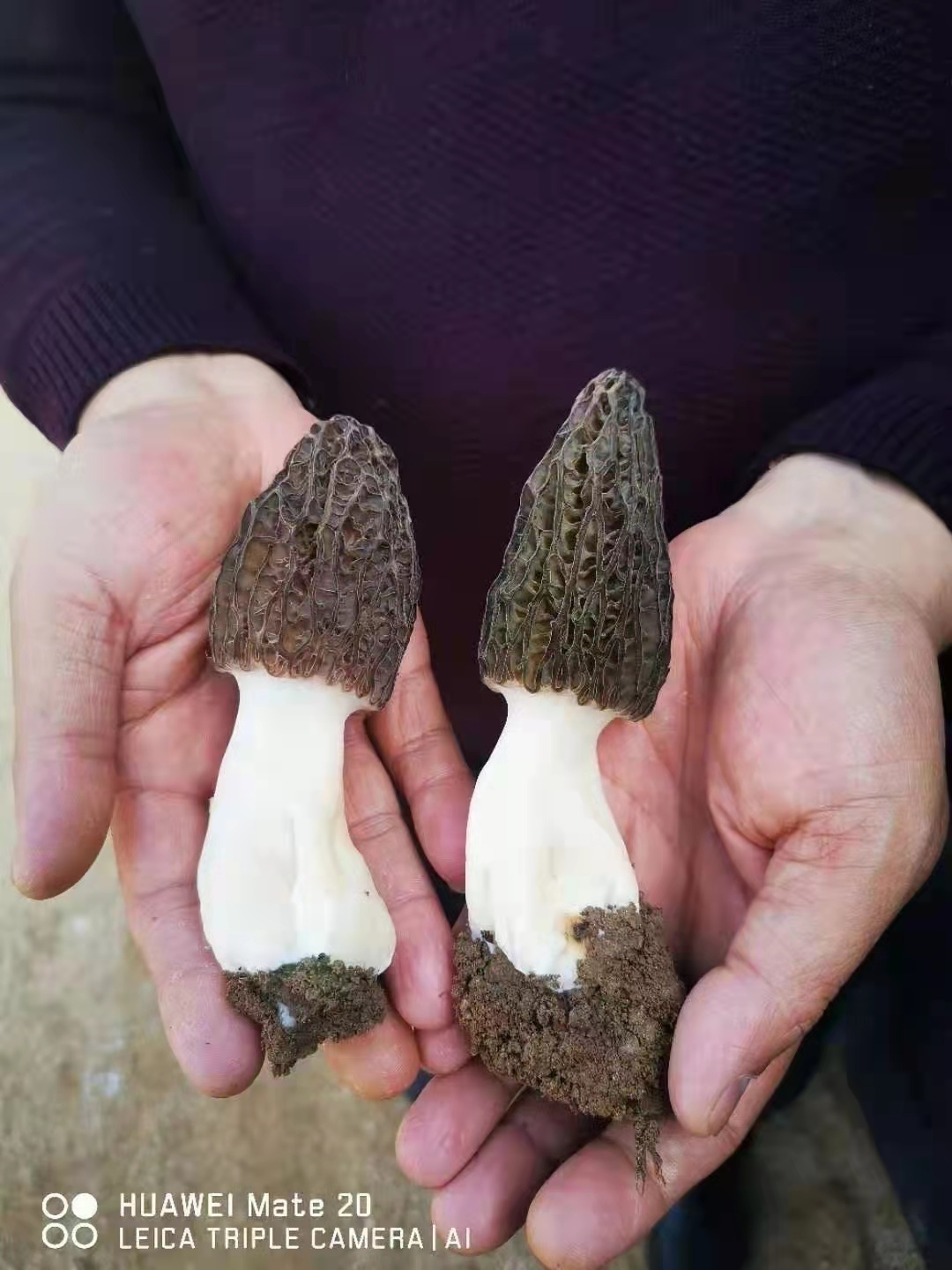 �׽����������Ļ����ν����湥�ԡ��������羰��