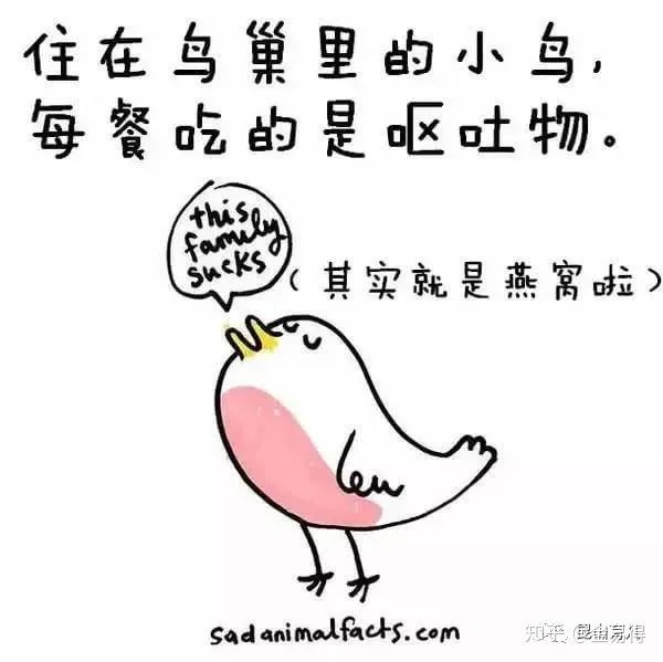 30個(ge) 有趣的科普小星空体育官网入口网站，你知道幾個(ge) ?