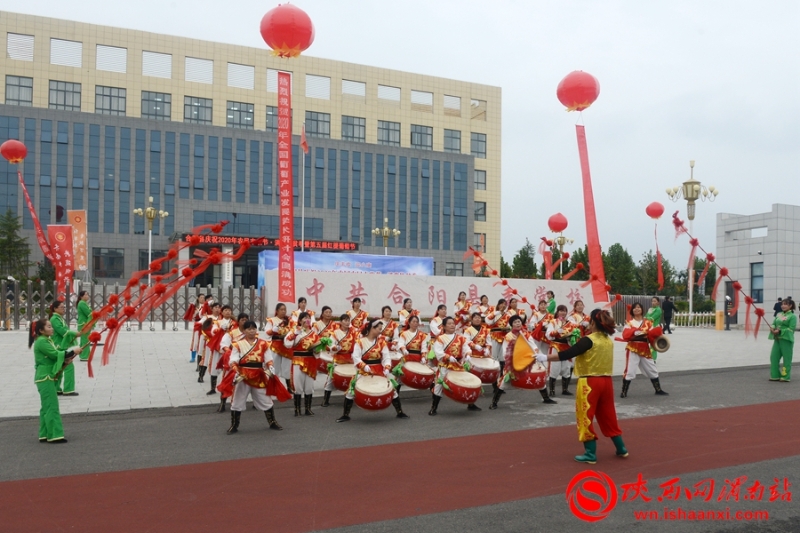 合陽縣2020年農(nóng)民豐收節(jié)暨第五屆紅提葡萄節(jié)開幕（組圖）