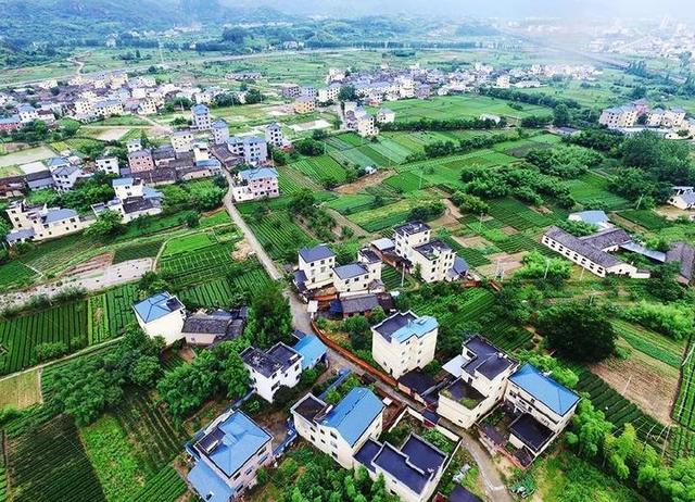 农村“一户一宅”政策全面执行，超出面积将收费？这一地已执行