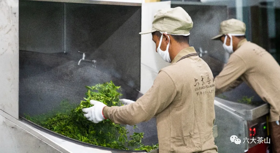 六大茶山建有规模最大、流程最规范的单体车间和现代化的生产线