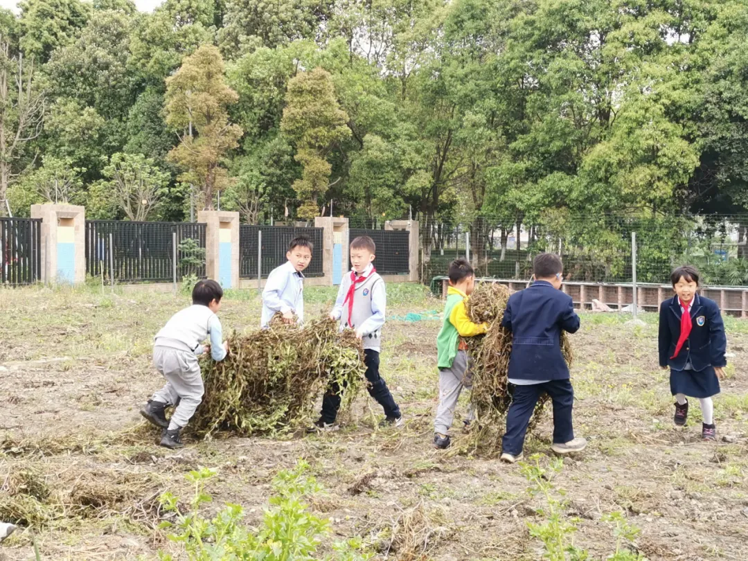 双流区实验小学外国语学校丨最美人间四月天 幸福农场齐生长
