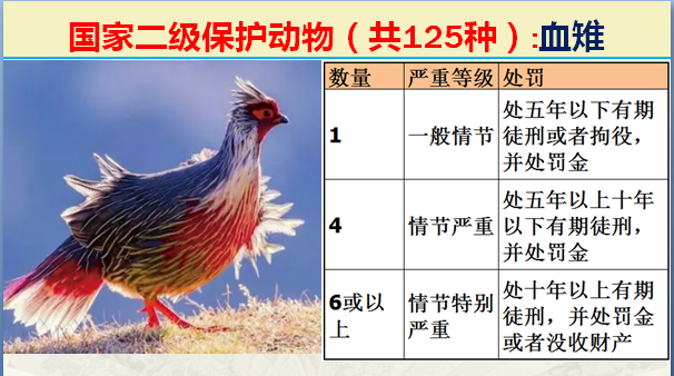 国家最新125类二级野生保护名录，图片及违法对应刑责