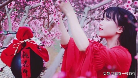 居然为了一句话，一位诗人想为李子柒裸奔