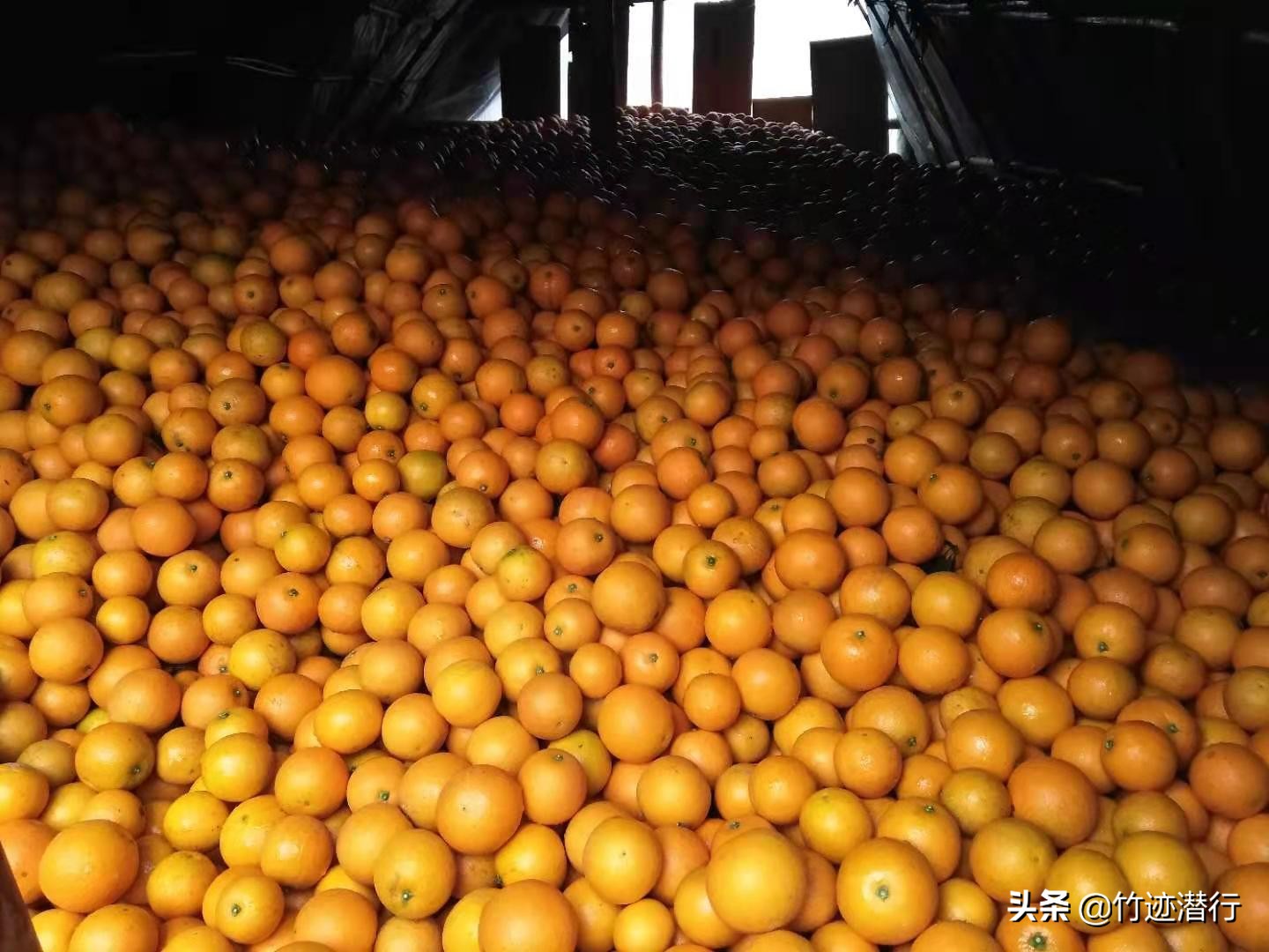 登錄查看大圖