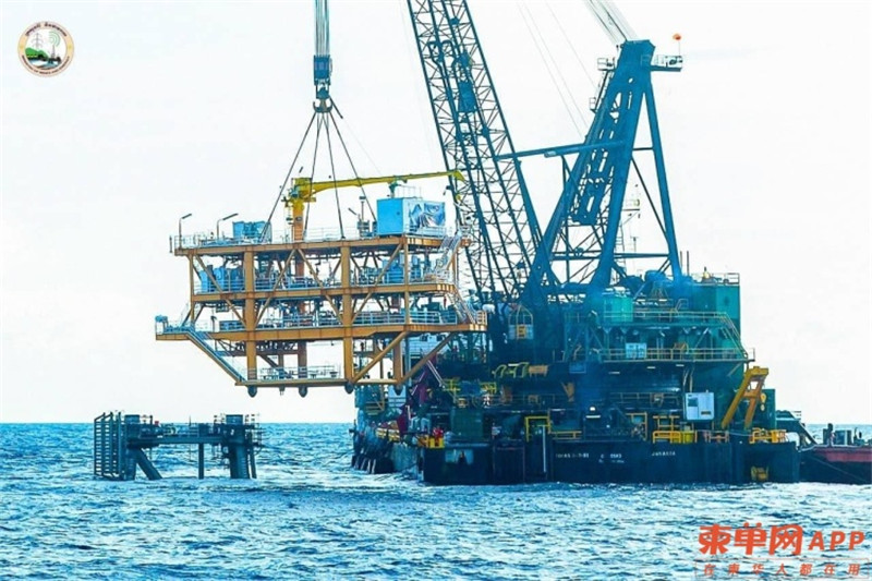 紫晶壹号：芒果输华，石油即将走向国际市场，柬埔寨发展一片大好