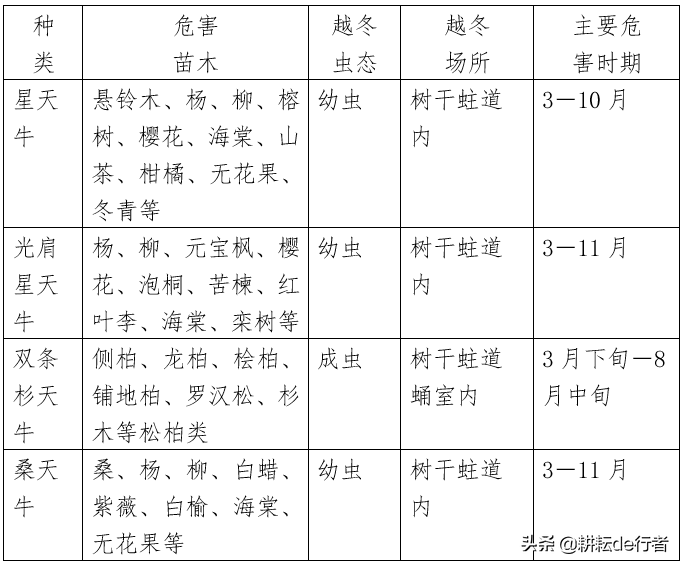 暖冬情况下，园林病虫害防治-第19张图片-农百科