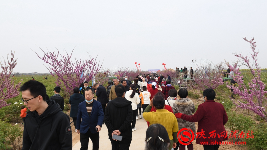 第四屆洽川旅游文化季牡丹嘉年華精彩紛呈 美食美景等你來解鎖（組圖）