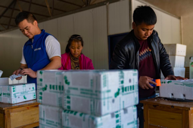 春运与拼多多有何相似之处？有人说清楚了：城乡强对流