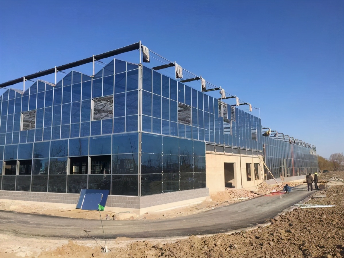 可以获得补贴的现代化连栋温室大棚可以做什么？一亩地造价多少