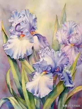 初十|2021大年初十图片 正月十一最美好的祝福送给一生一世的朋友