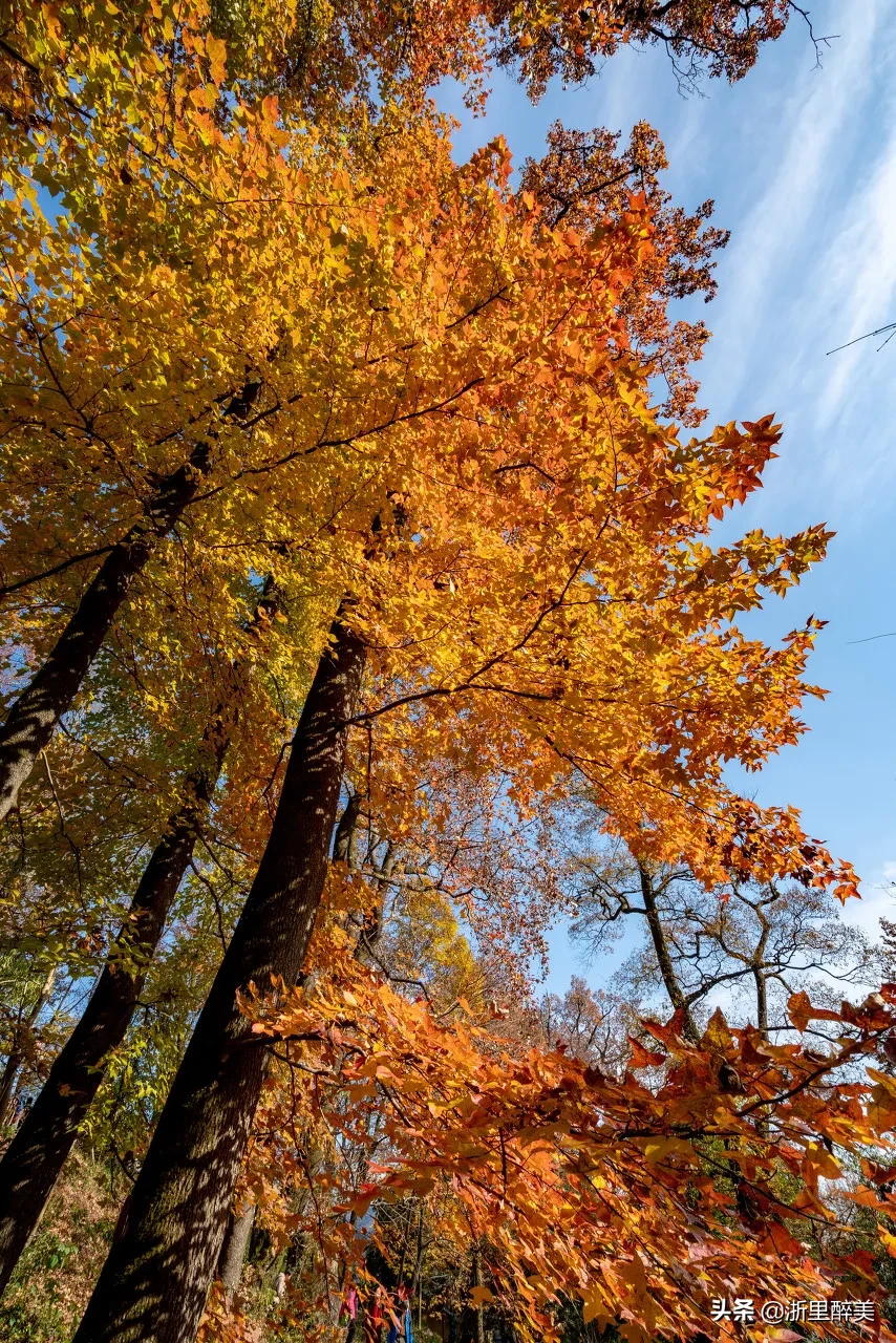10 ancient towns with beautiful autumn colors, if you are tired, go to stay for a few days